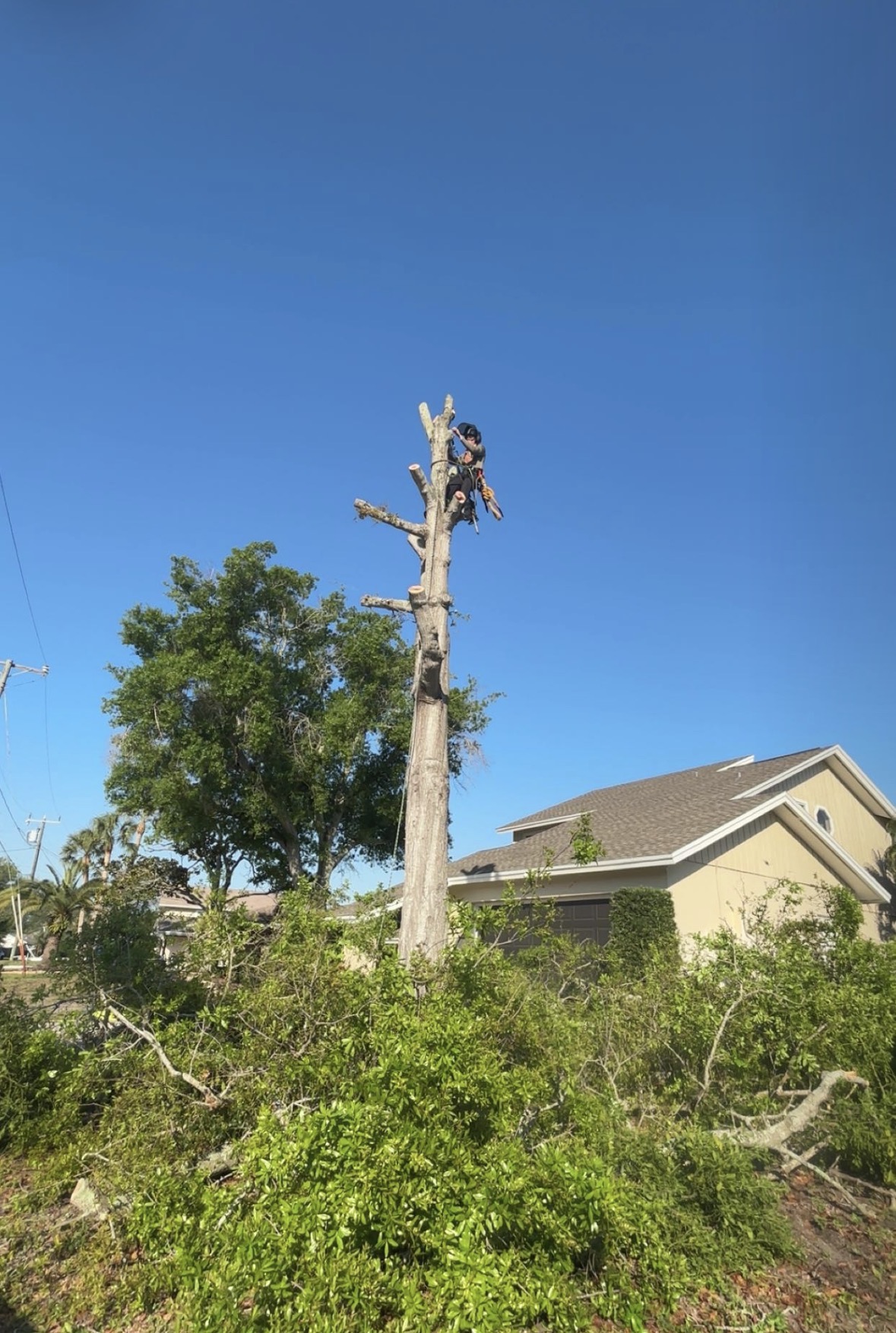 Storm Cleanup work by Florida Premier Tree Service