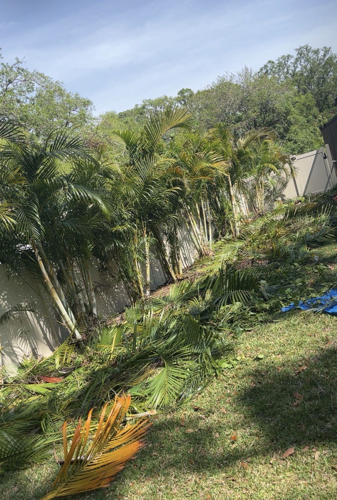 Storm Cleanup work by Florida Premier Tree Service