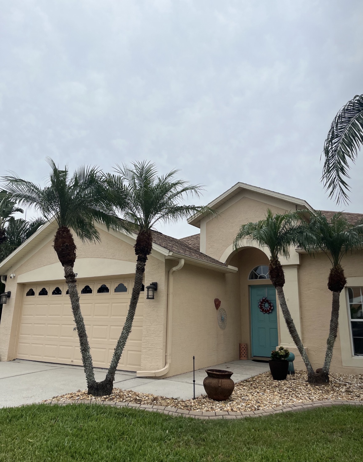 Tree Pruning & Trimming work by Florida Premier Tree Service