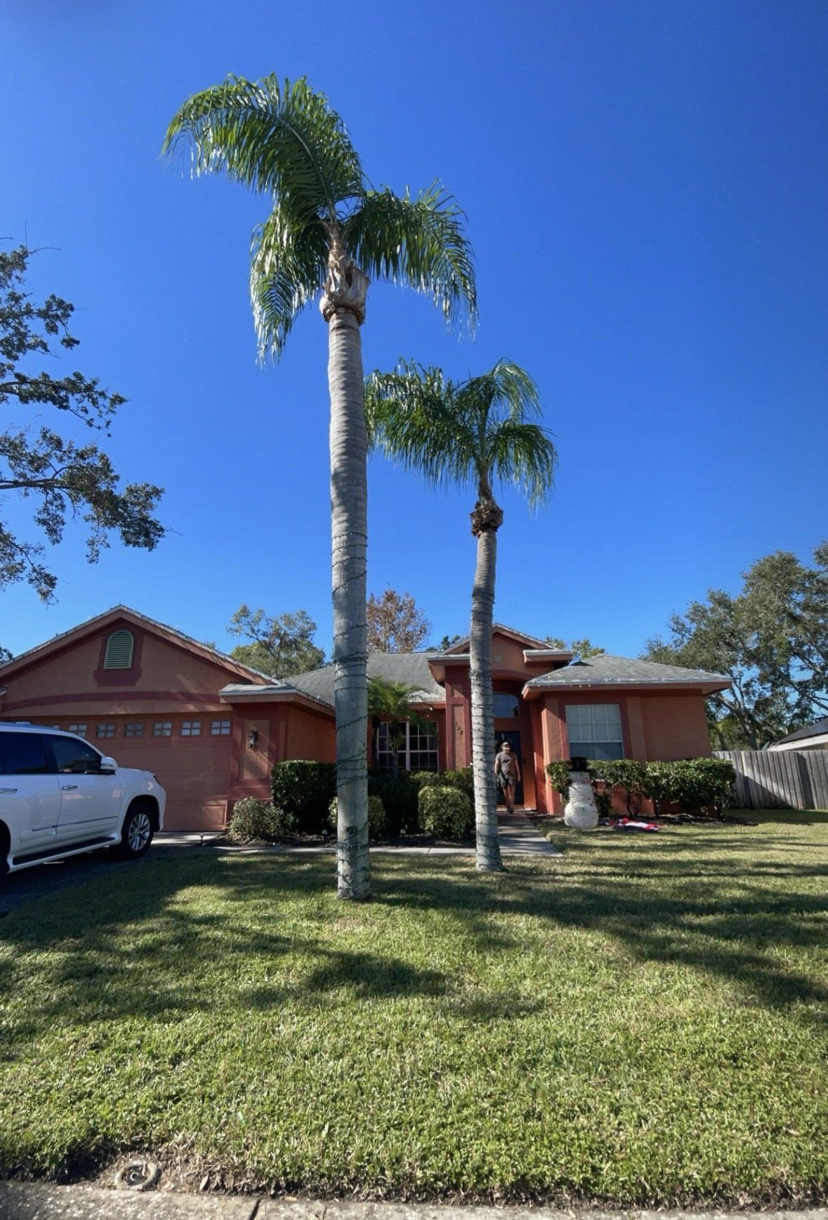 Stump Grinding work by Florida Premier Tree Service