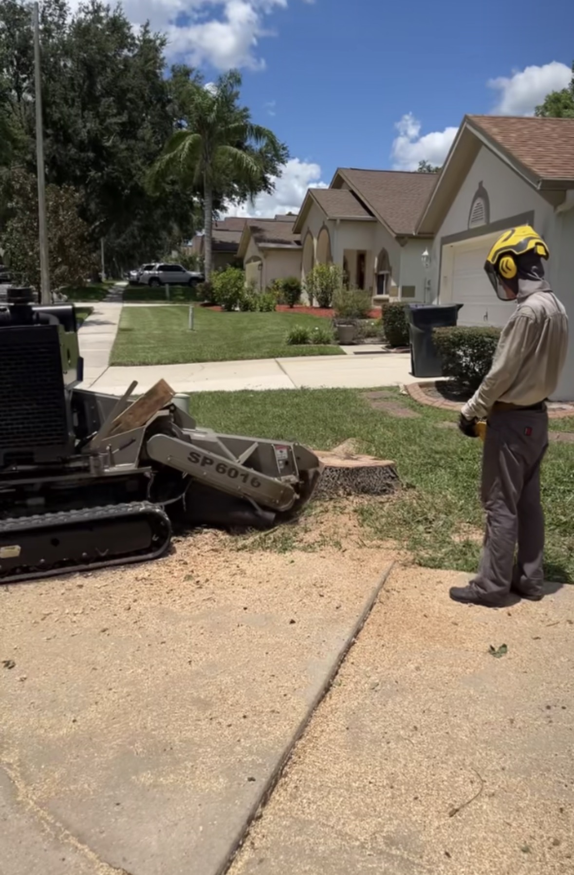 Professional Stump Grinding in Tampa Bay